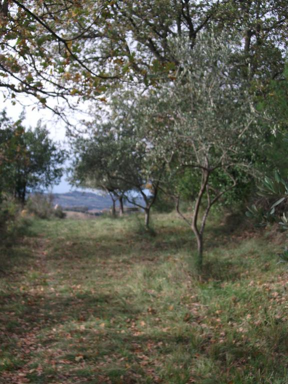 Poggio Del Conero Villa Dış mekan fotoğraf